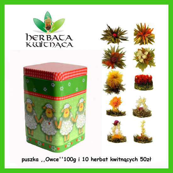 Puszka OWCE 100g i 10 herbat zielona ramka